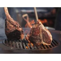 Arteflame Grill Grates For Fire Pits 8 Arteflame Grill Grates For Fire Pits -Dimplex Officials arteflame arteflame grill grates for fire pits 14315557290078