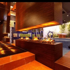 Dimplex Opti-myst Pro 1000 40-Inch Water Vapor Fireplace Cassette (CDFI1000-PRO) -Dimplex Officials dimplex dimplex opti myst pro 1000 40 water vapor fireplace cassette cdfi1000 pro 28322232729694