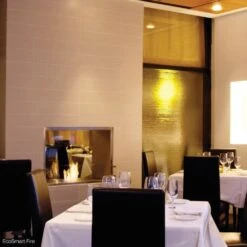 EcoSmart Fire Flex Double Sided Ethanol Firebox -Dimplex Officials ecosmart fire flex double sided ethanol firebox 29708911575134