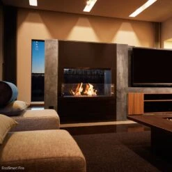 EcoSmart Fire Flex Double Sided Ethanol Firebox -Dimplex Officials ecosmart fire flex double sided ethanol firebox 29708911640670