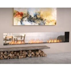 EcoSmart Fire Flex Double Sided Ethanol Firebox -Dimplex Officials ecosmart fire flex double sided ethanol firebox 29708911738974