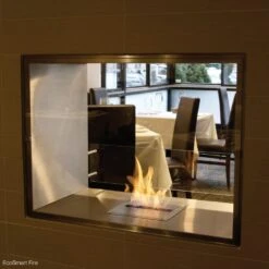 EcoSmart Fire Flex Double Sided Ethanol Firebox -Dimplex Officials ecosmart fire flex double sided ethanol firebox 29708912132190