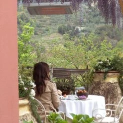 Heatscope Spot 35-Inch Dual Element 2800W 240V Infrared Electric Heater -Dimplex Officials heatscope heatscope spot 35 dual element 2800w 240v infrared electric heater 14405611552862