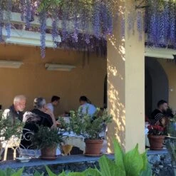 Heatscope Spot 35-Inch Dual Element 2800W 240V Infrared Electric Heater -Dimplex Officials heatscope heatscope spot 35 dual element 2800w 240v infrared electric heater 14405613781086