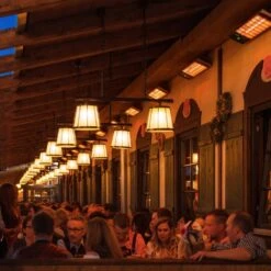 Heatscope Spot 35-Inch Dual Element 2800W 240V Infrared Electric Heater -Dimplex Officials heatscope heatscope spot 35 dual element 2800w 240v infrared electric heater 28359002423390