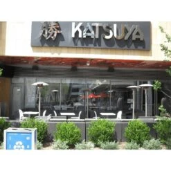 Patio Comfort NPC05SS Portable NG Patio Heater - Stainless Steel -Dimplex Officials patio comfort npc05ss portable ng patio heater stainless steel npc05 ss 855070008681 29272261984350