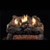 Real Fyre Evening Fyre 24-Inch See-Through Vent-Free Gas Log Set Insert