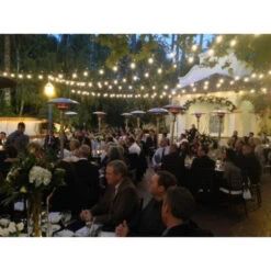 Sunglo A270 SS Portable Propane Patio Heater - Stainless Steel -Dimplex Officials sunglo sunglo a270 ss portable propane patio heater stainless steel 28341681193054