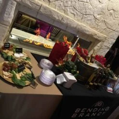 The Bio Flame 72-Inch Firebox DS - Built-in See-Through Ethanol Fireplace -Dimplex Officials the bio flame 72 inch firebox ds built in see through ethanol fireplace 29111264837726