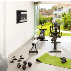 The Bio Flame Pure 24-Inch Wall Mounted Ethanol Fireplace -Dimplex Officials the bio flame pure 24 inch wall mounted ethanol fireplace pure 826771161753 29238923100254