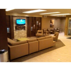 The Bio Flame 60-Inch Smart Firebox DS - See-Thru Ethanol Fireplace -Dimplex Officials the bio flame the bio flame 60 smart firebox ds see thru ethanol fireplace 13503136530526